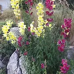 Maurerhof Appartement *