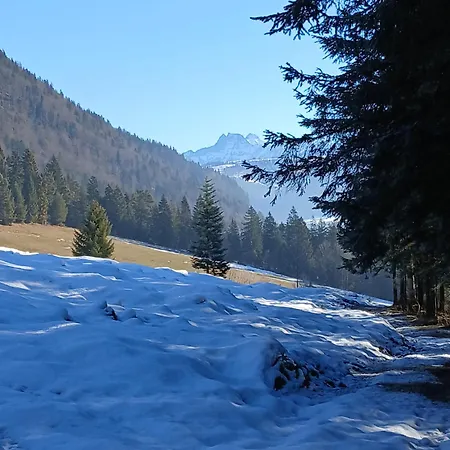 Maurerhof Daire Sankt Johann in Tirol