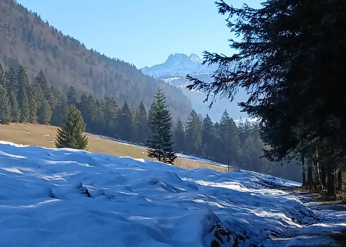 Maurerhof Daire Sankt Johann in Tirol