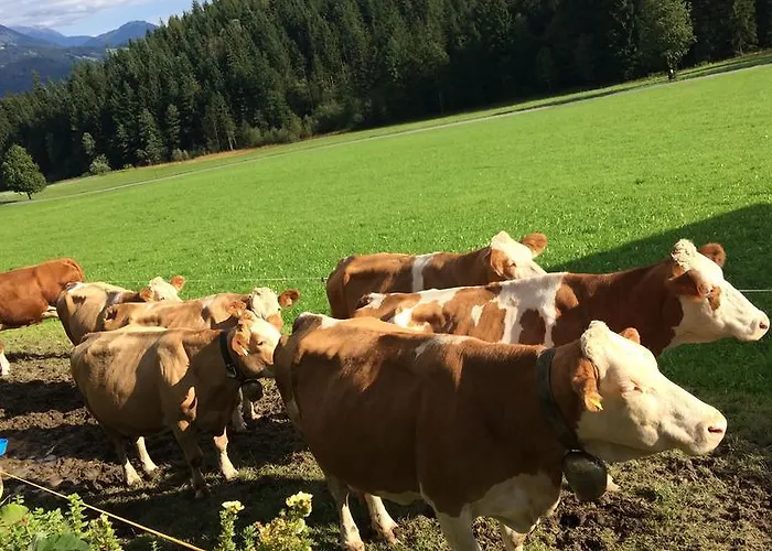 Appartamento Maurerhof *